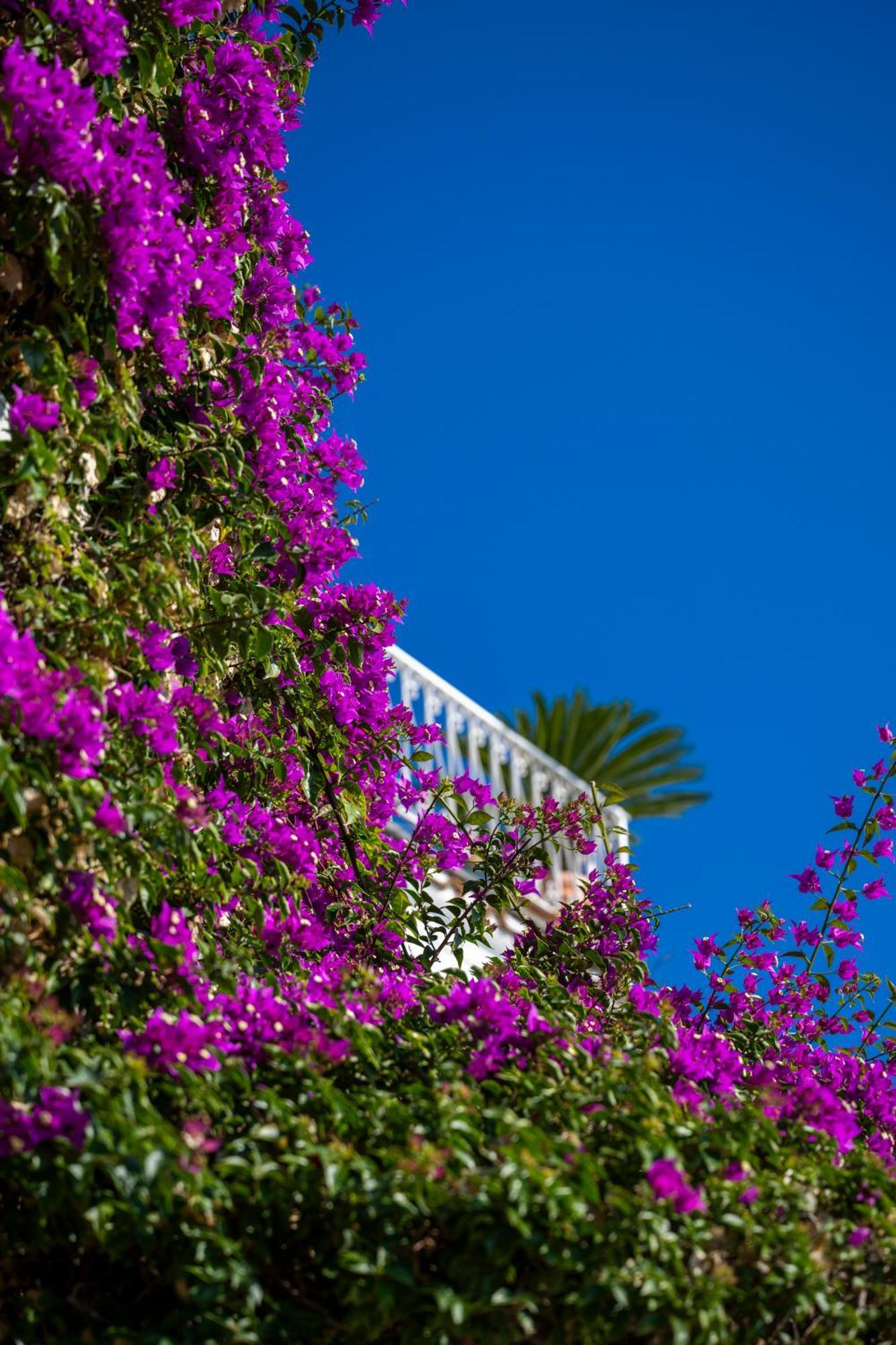 Casetta Arienzo Positano Exterior foto